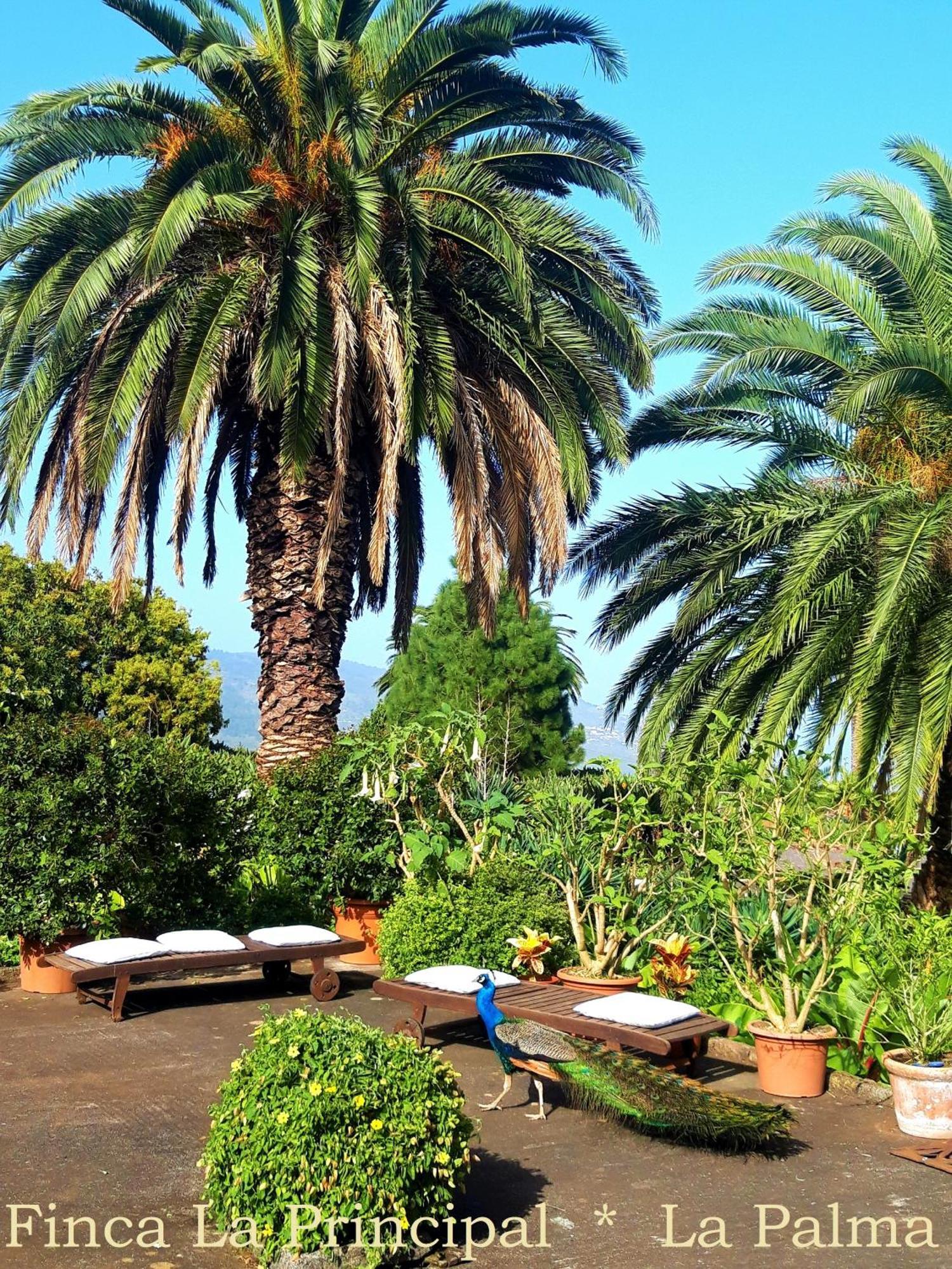 Finca La Principal Breña Alta Exterior foto